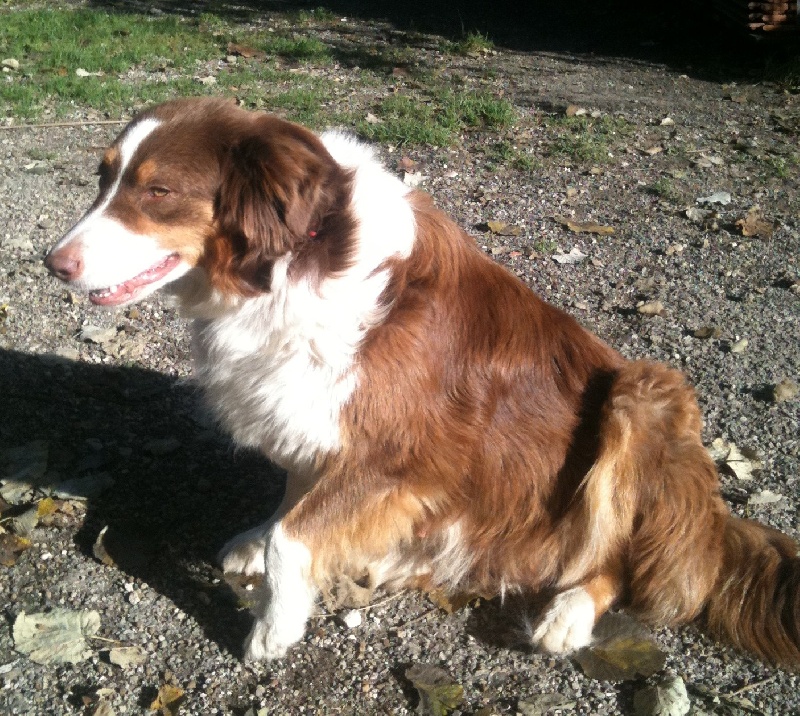 Florida conch key de Solemel