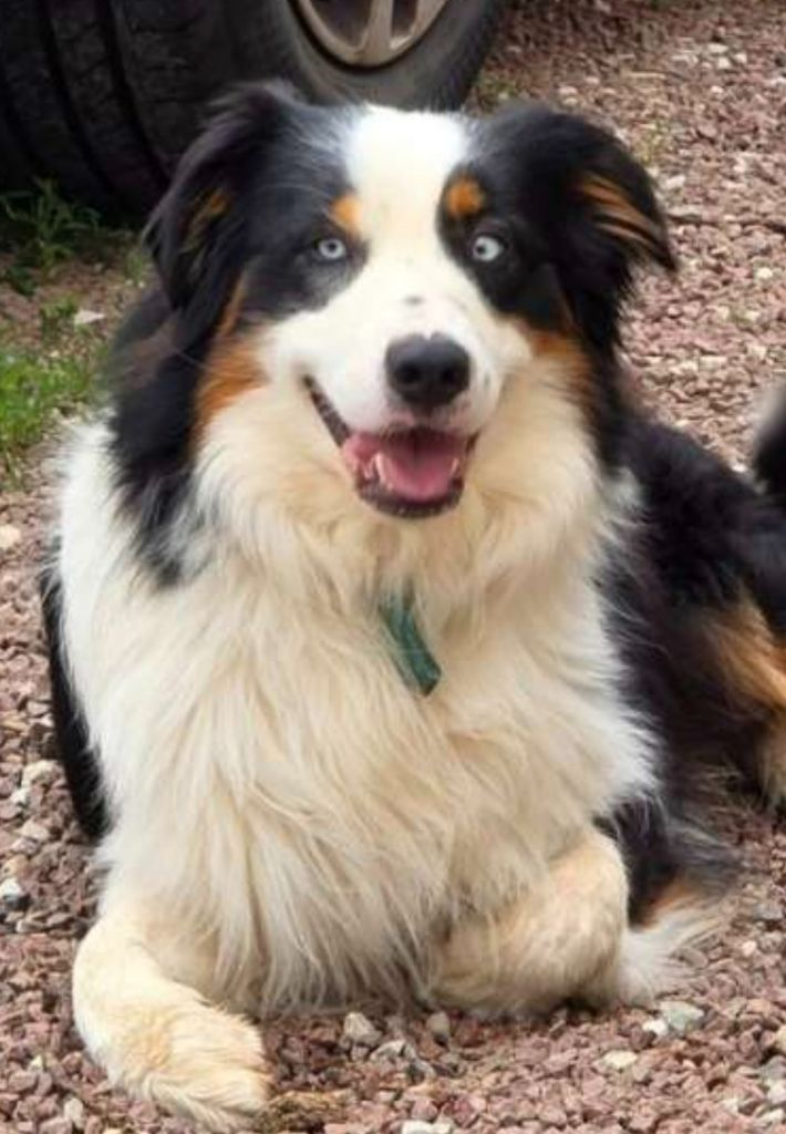 U'he of blue montain valley